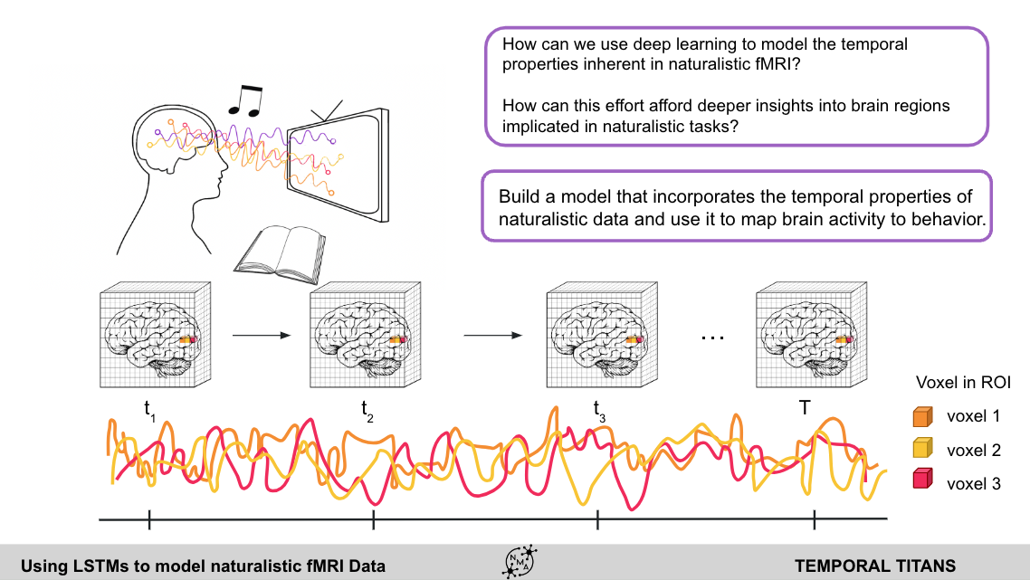 LSTM Neural Networks for fMRI Data